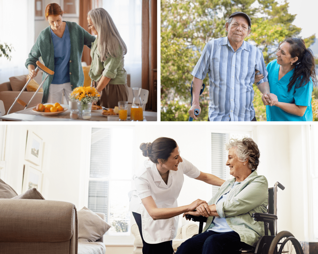 Understanding Elderly Care